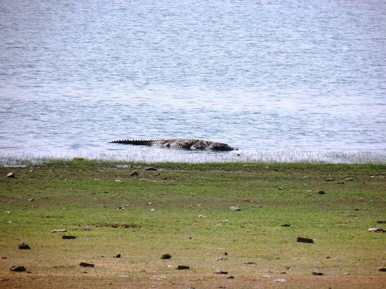 Madhav National Park